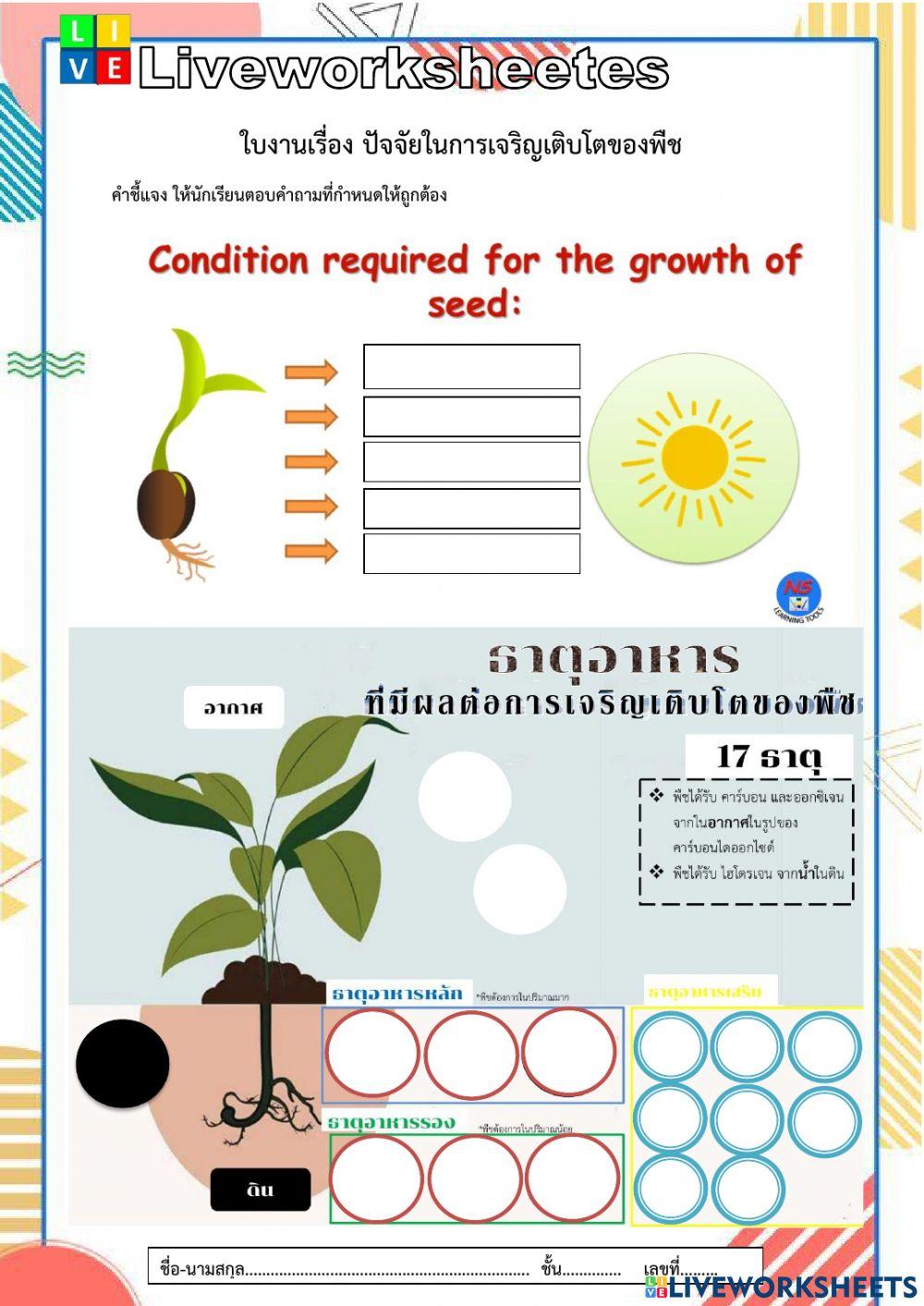 ใบงานปัจจัยการเจริญเติบโตของพืช