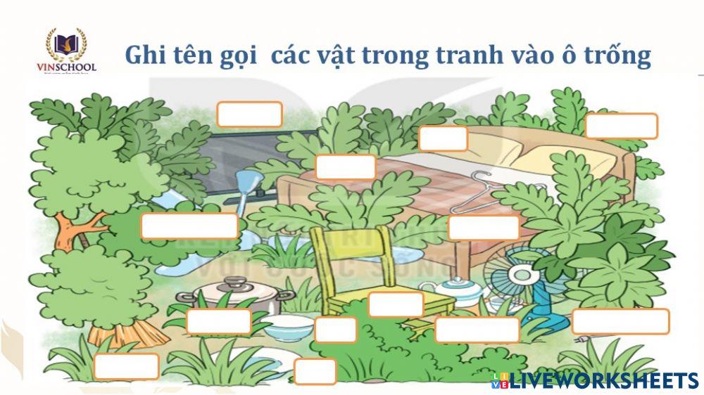 Luyện từ và câu