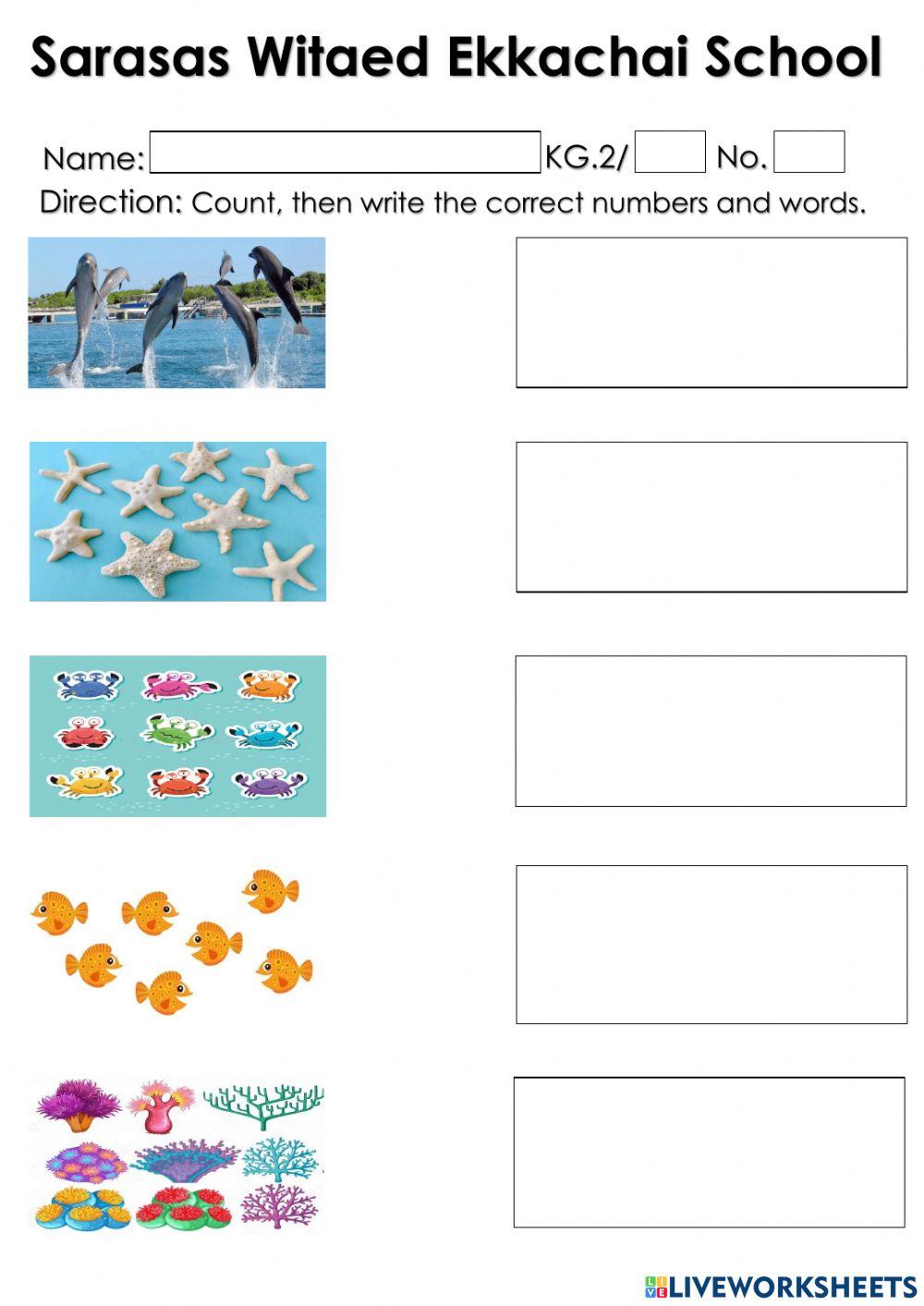 Sea Creatures activity for Kindergarten | Live Worksheets