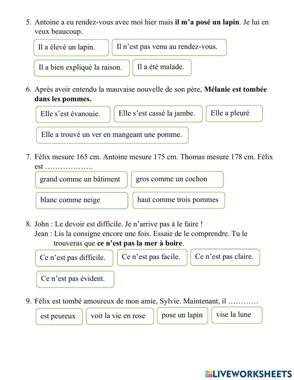 Test des expressions idiomatiques