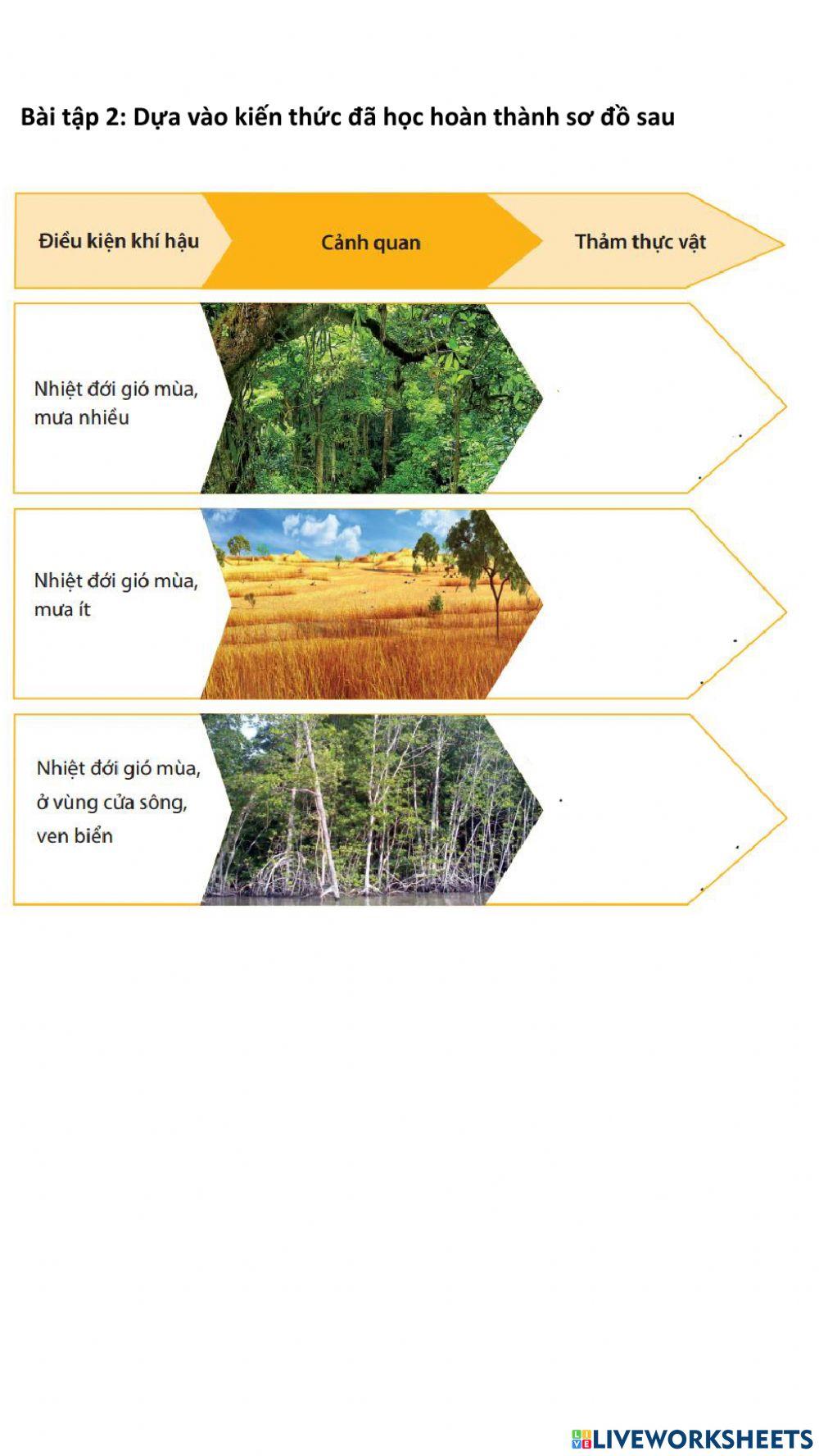 Môi trường nhiệt đới gió mùa