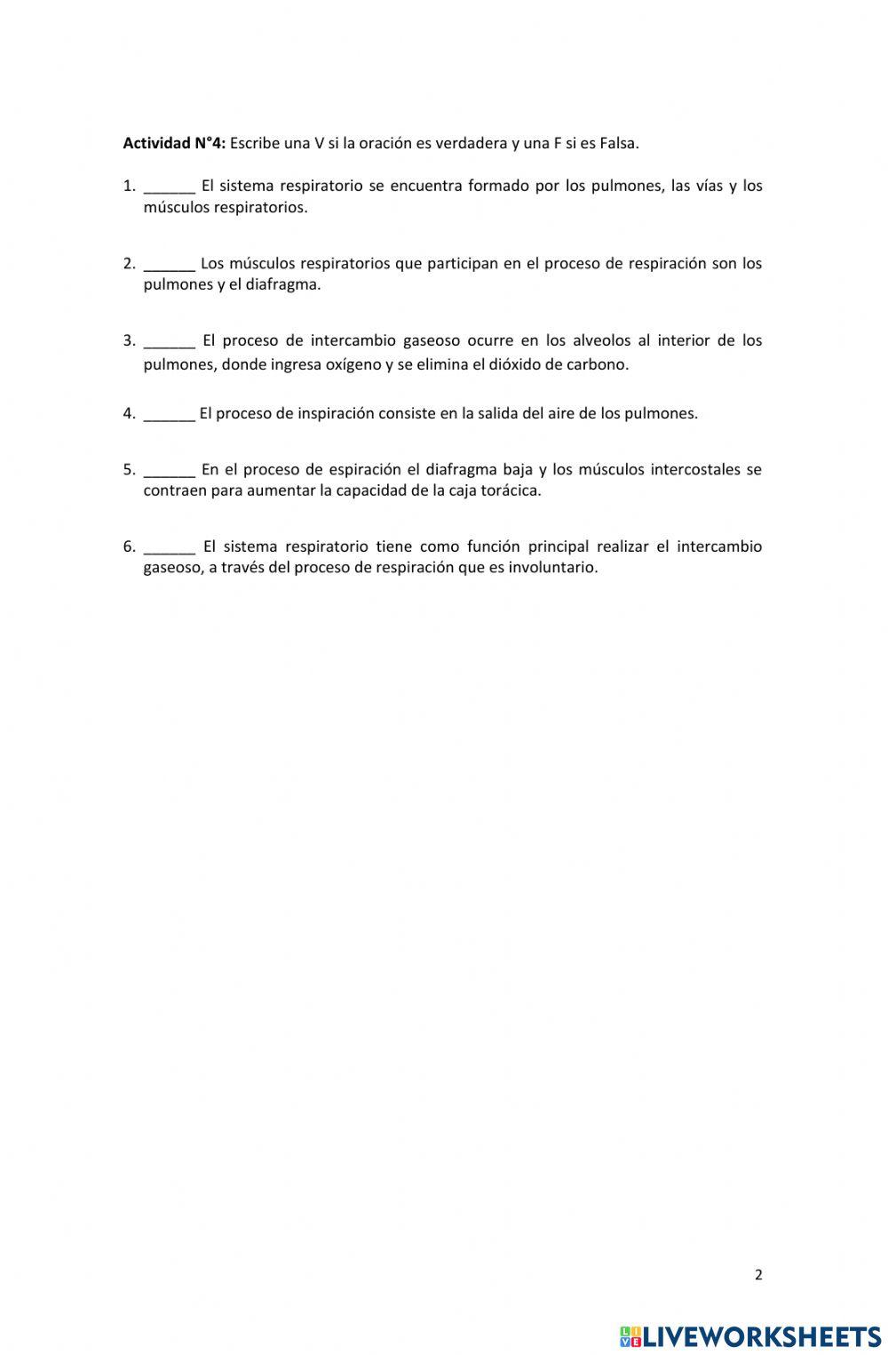 Sistema respiratorio