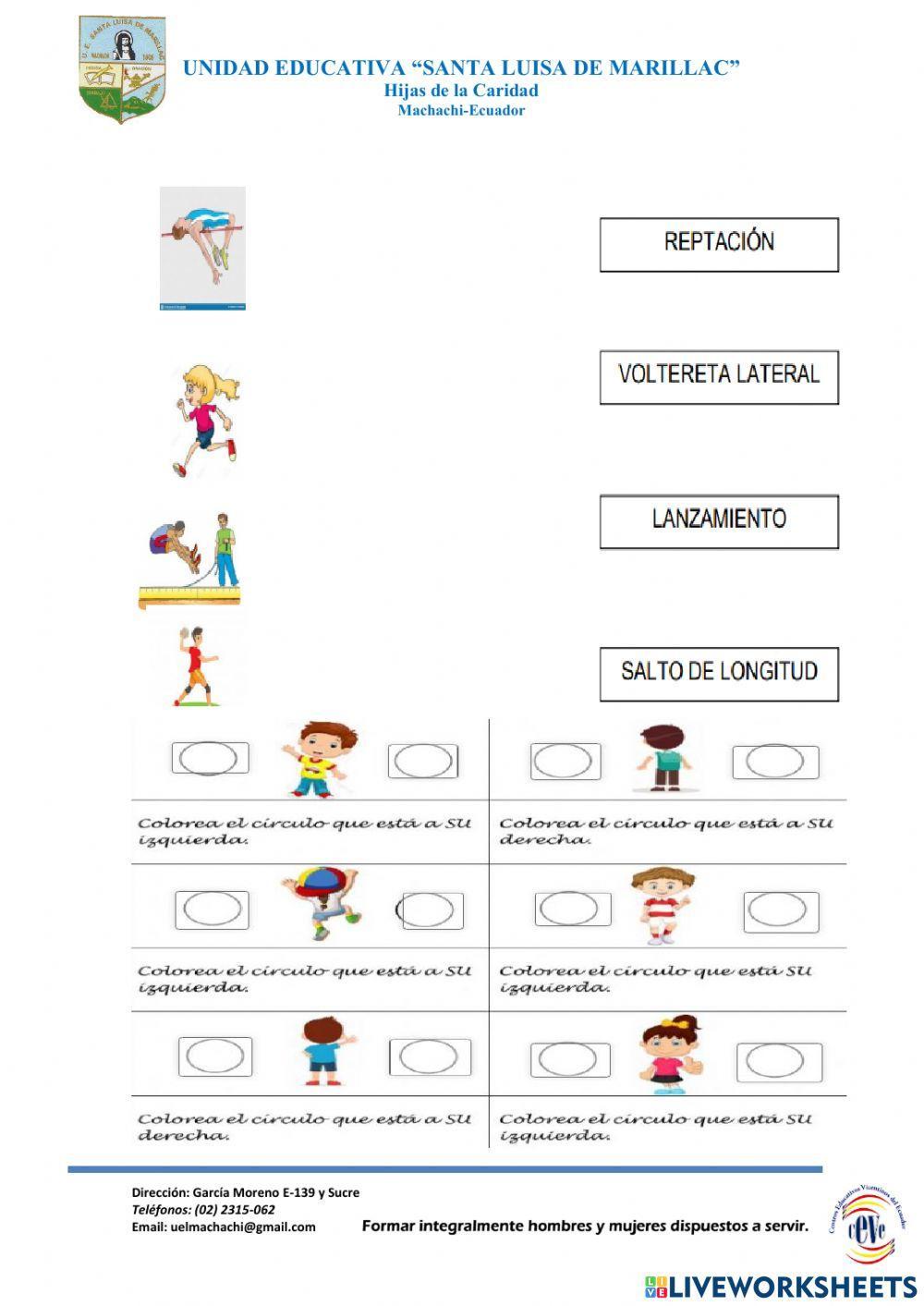 Prueba de diagnostico