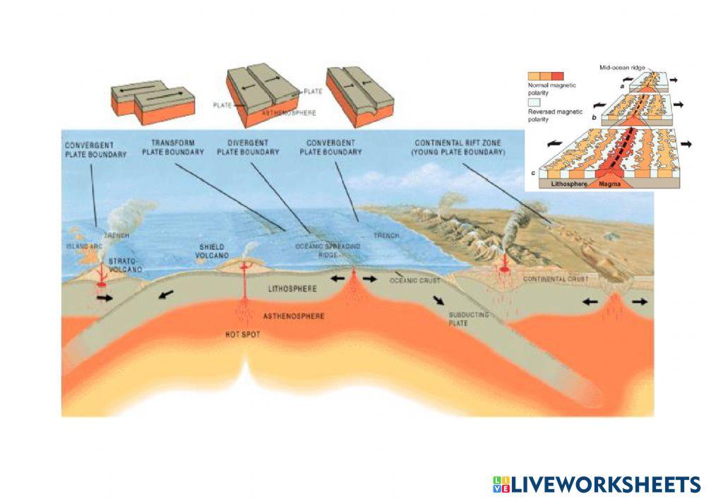 5.6 Seafloor Spreading Hypothesis