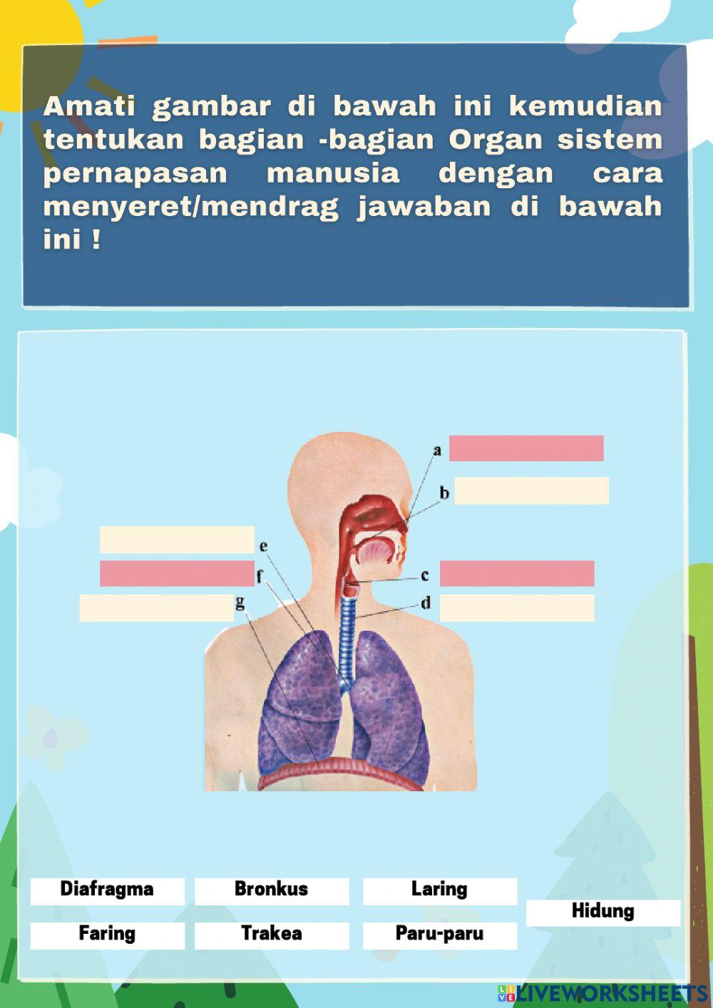Tema 2 Subtema 1 Pb 2
