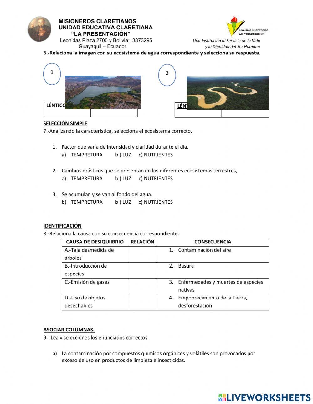 Evaluación sumativa