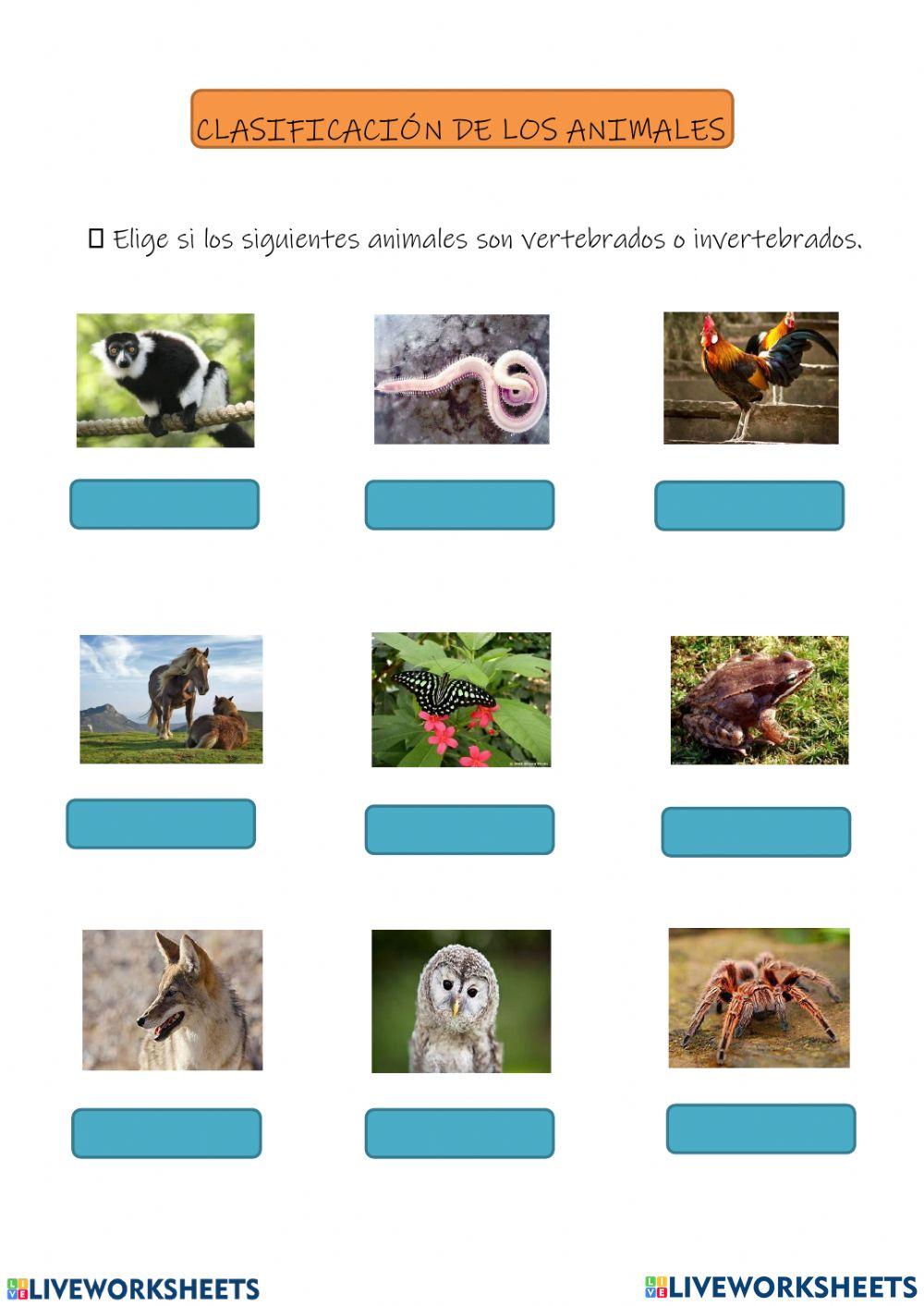 Ficha de evalucion diagnostica