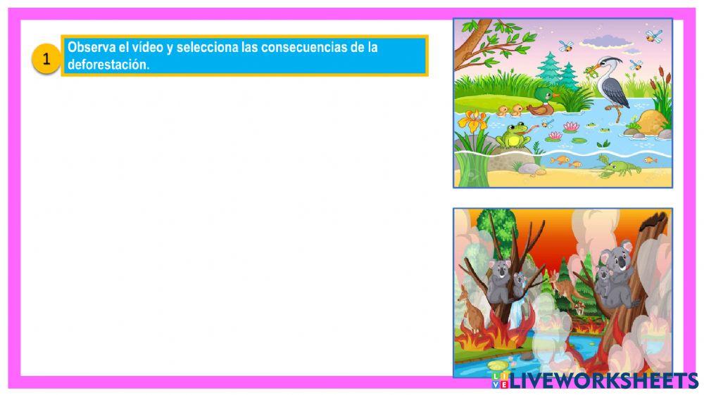 Ciencia y Tecnología