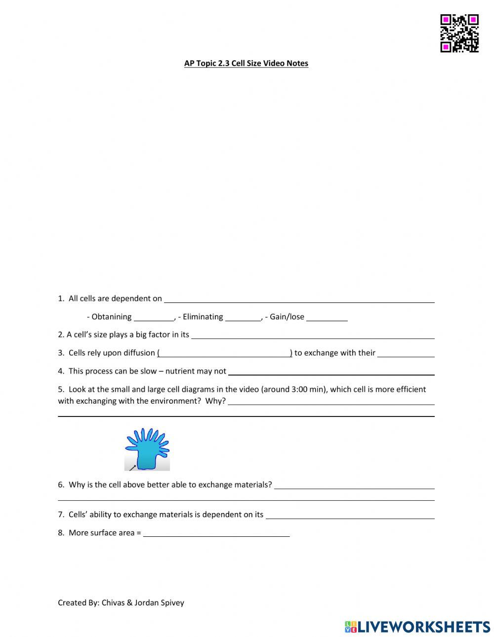 AP Biology Topic 2.3 - Cell Size