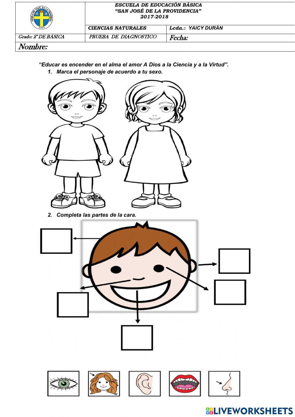 Evaluación diagnóstica de ciencias naturales