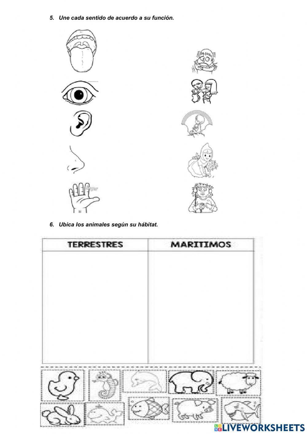 Evaluación diagnóstica de ciencias naturales