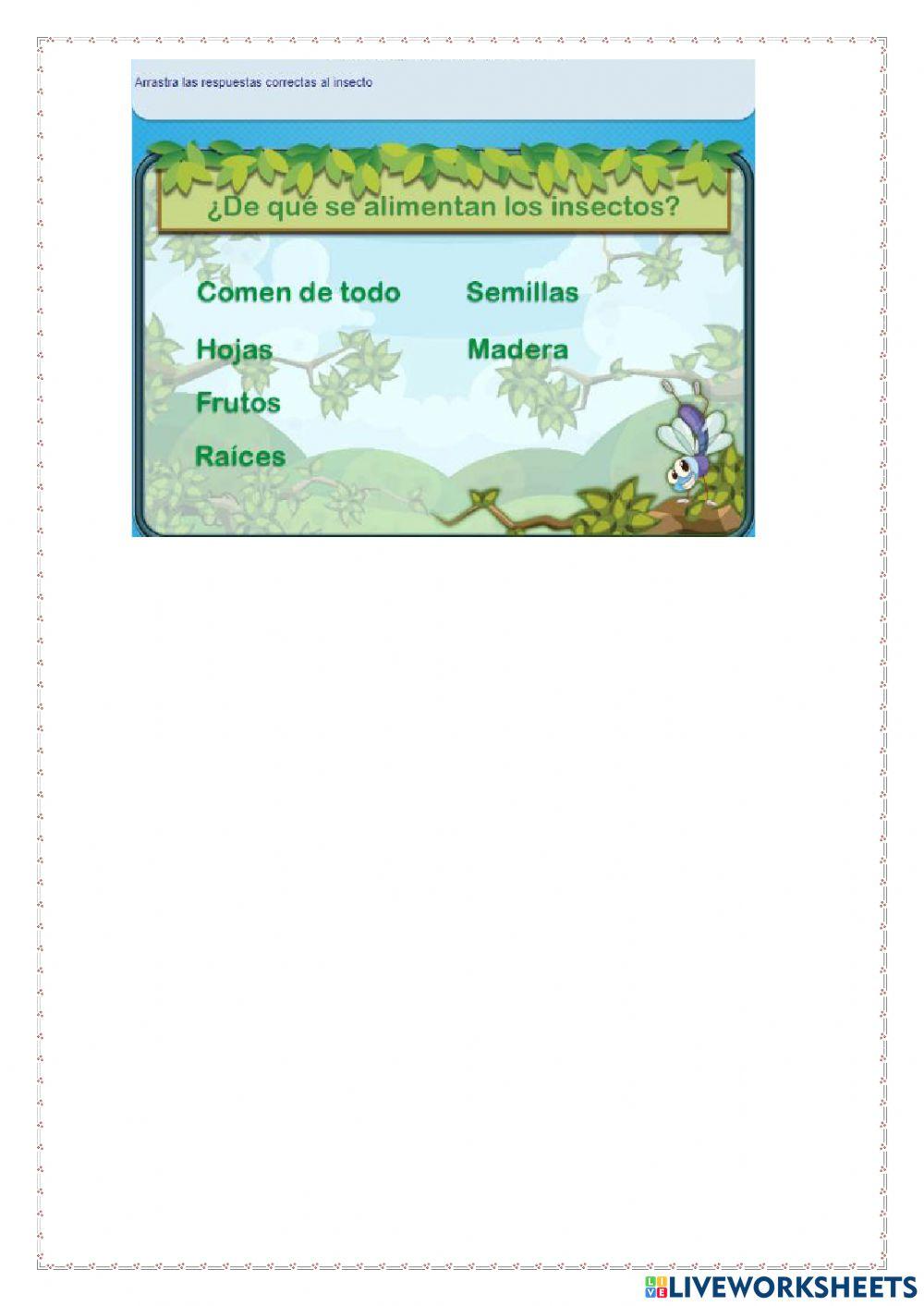 Lectura comprensiva (Insectos y arañas)