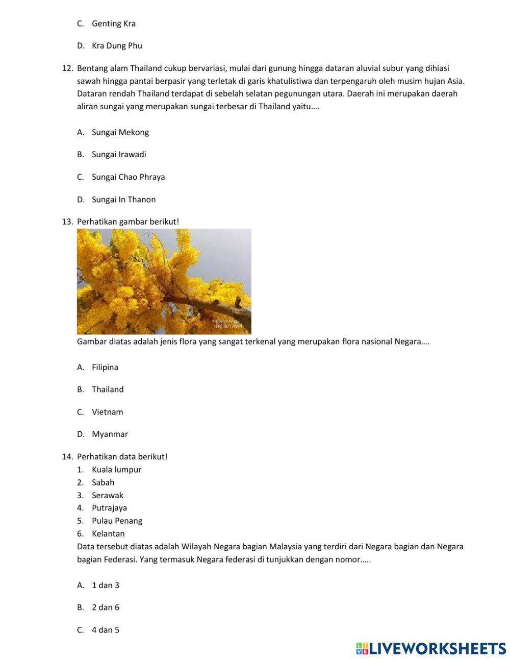 Soal Ujian Tengah Semester 2021
