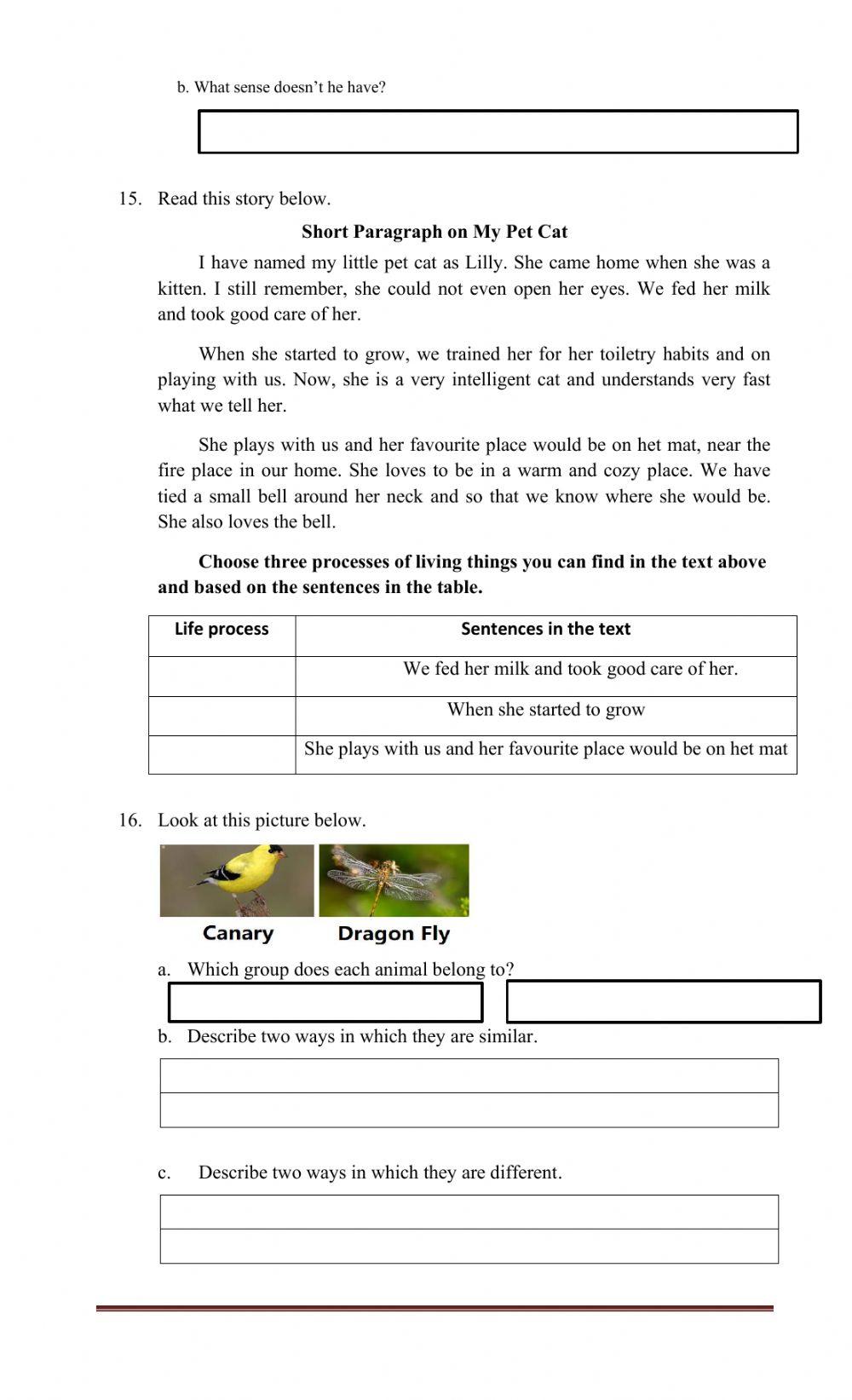 PTS 1 SCIENCE kelas 3  Tahun ajaran 2021-2022