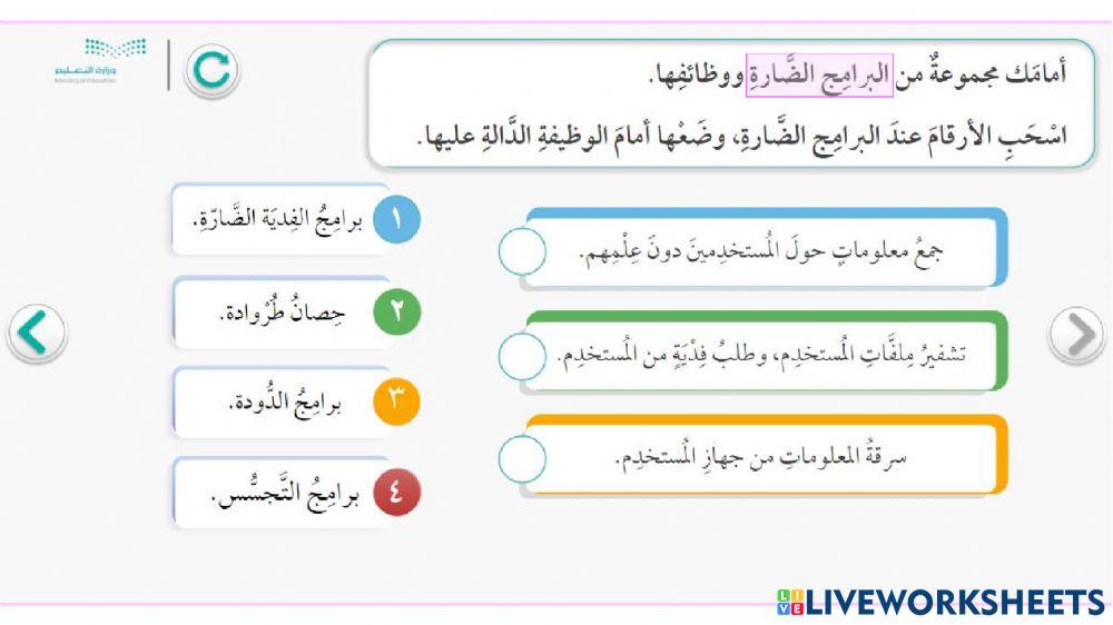 المهارات الرقمية - الاستخدام الامن للانترنت