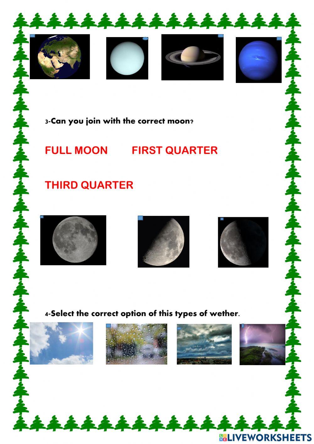 Social Science Christmas Review