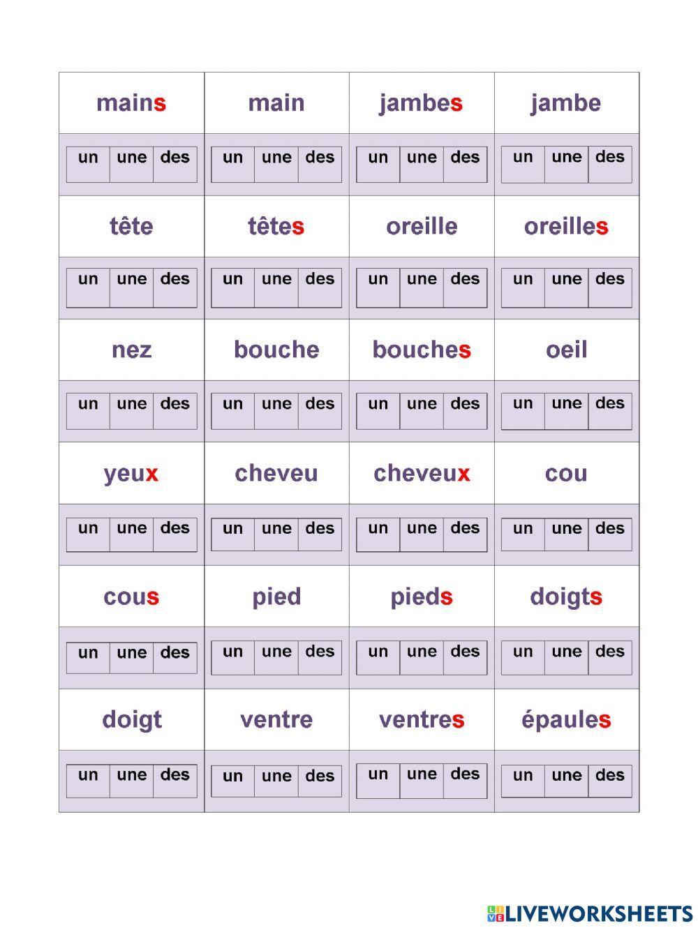 Les articles indefinis