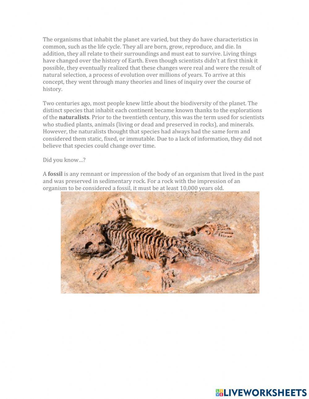 Science & Technology: Biology Evolution of Life · Explanations for the Existence of Current Species Diversity