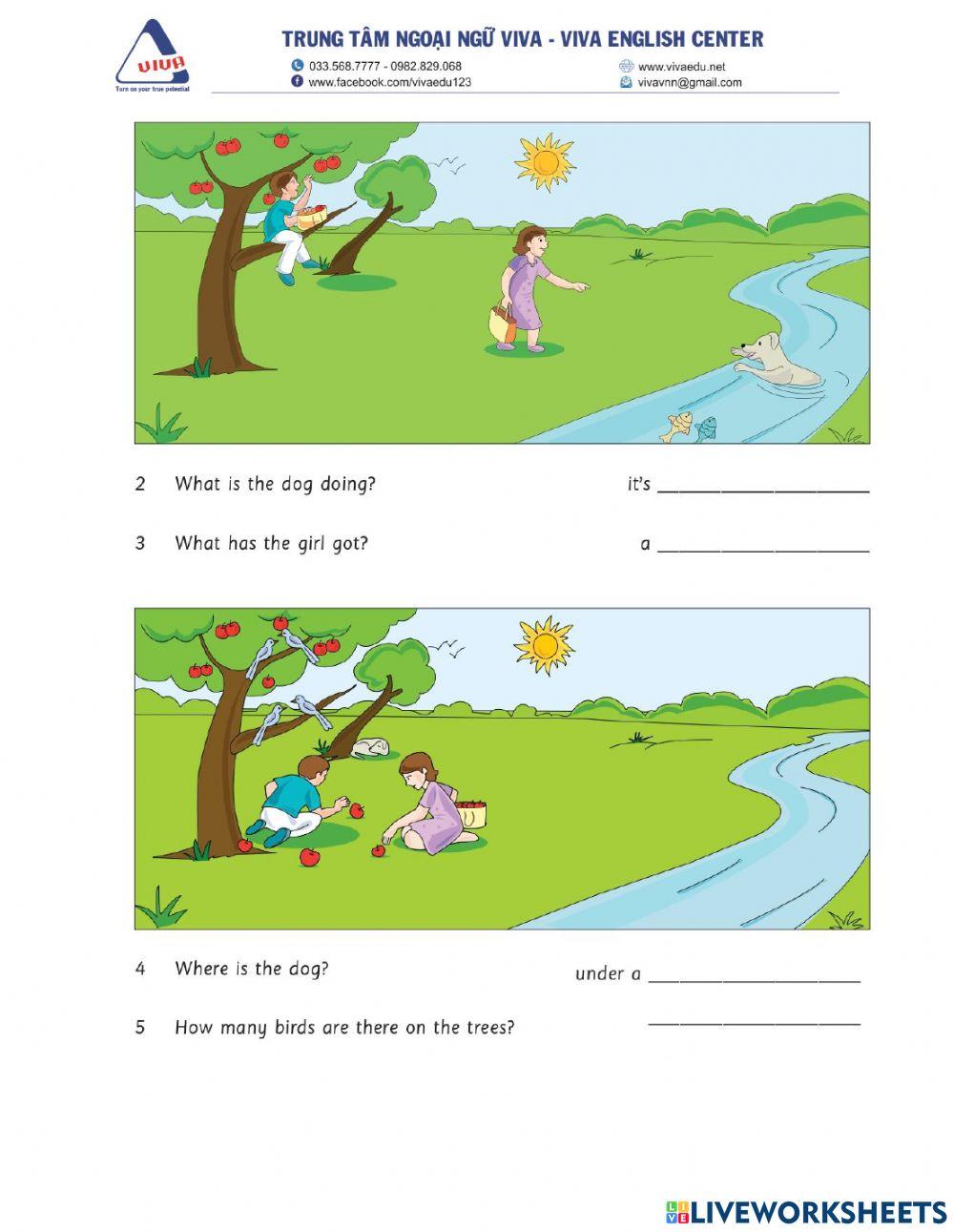 Idict 1-Final exam-Skill practice: Reading and writting part 5