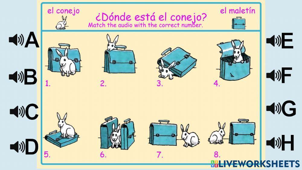 ¿Dónde está el conejo?