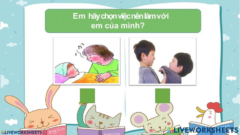 Khảo sát HĐTN, Đạo đức, TNXH