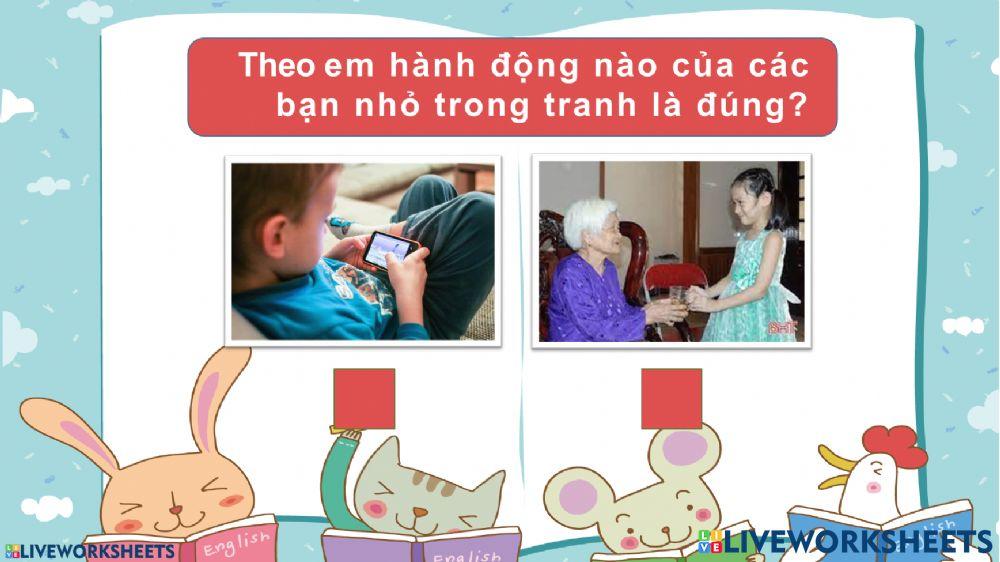 Khảo sát HĐTN, Đạo đức, TNXH