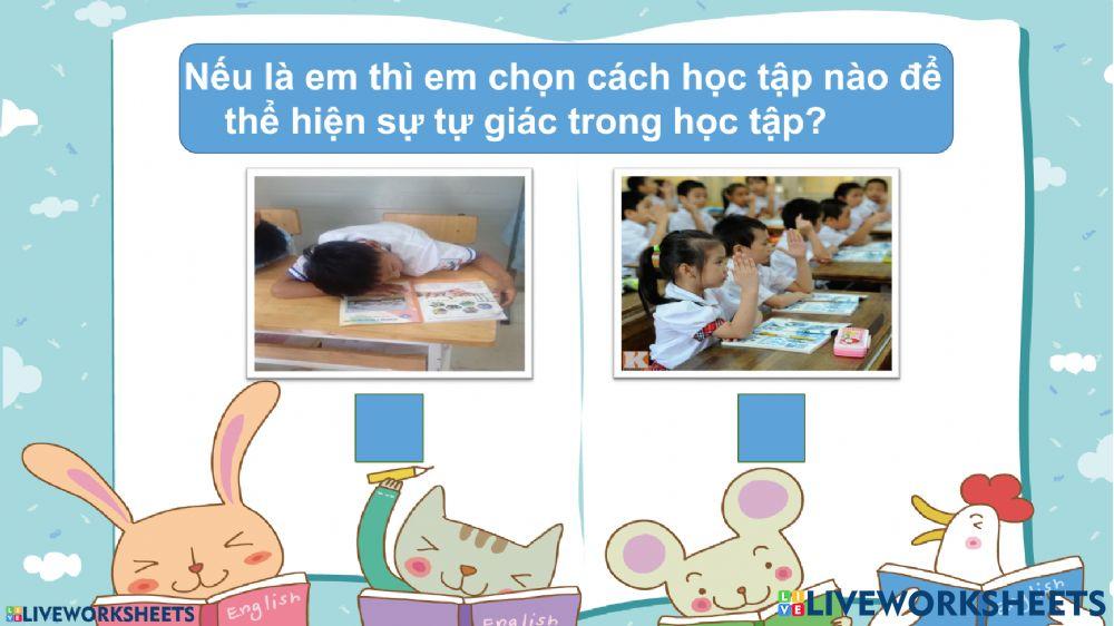 Khảo sát HĐTN, Đạo đức, TNXH