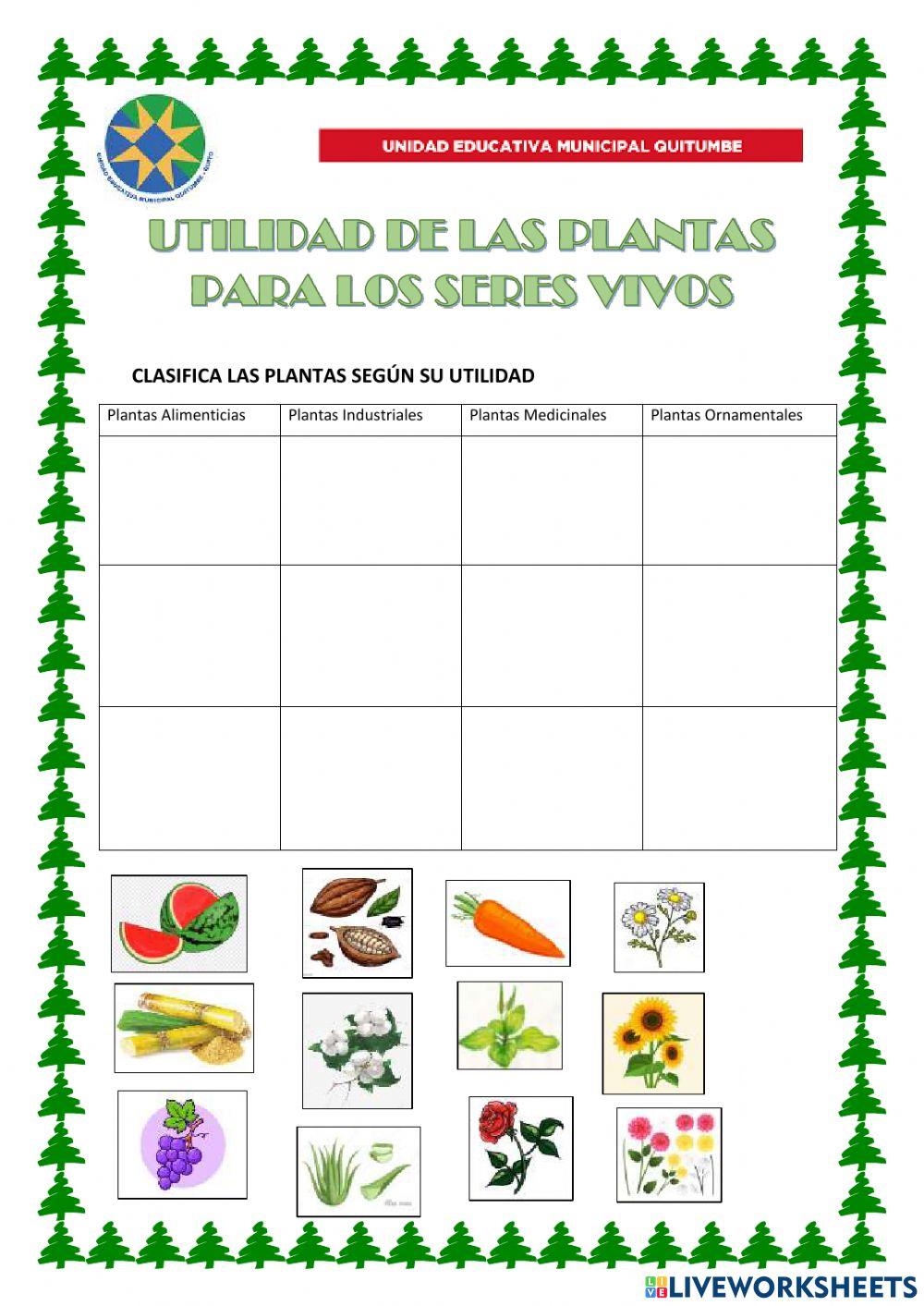 Utilidad de las plantas para los seres vivos
