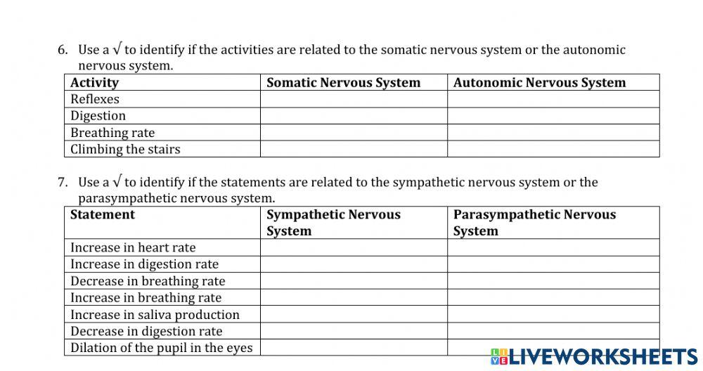 Organization of the Nervous system