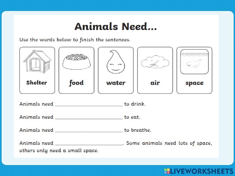 Animal needs