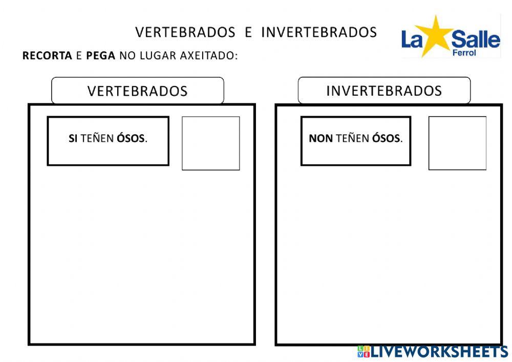 Animais vertebrados e invertebrados