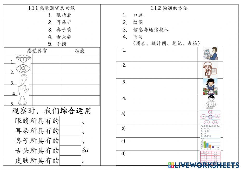 一年级科学复习单元一