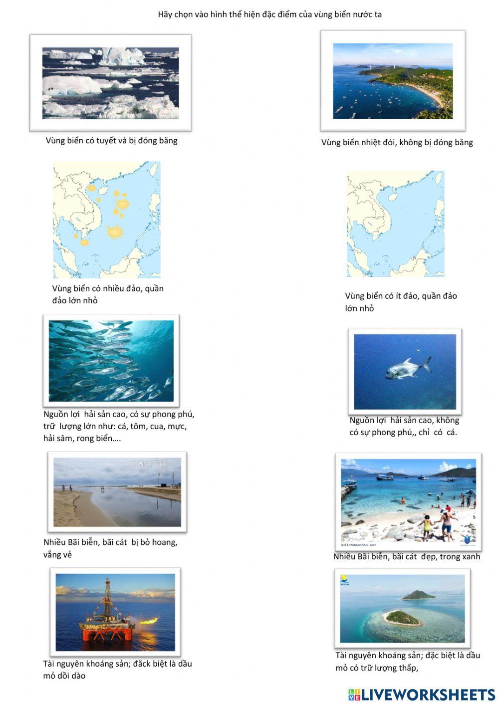 Đặc điểm vùng biển VN