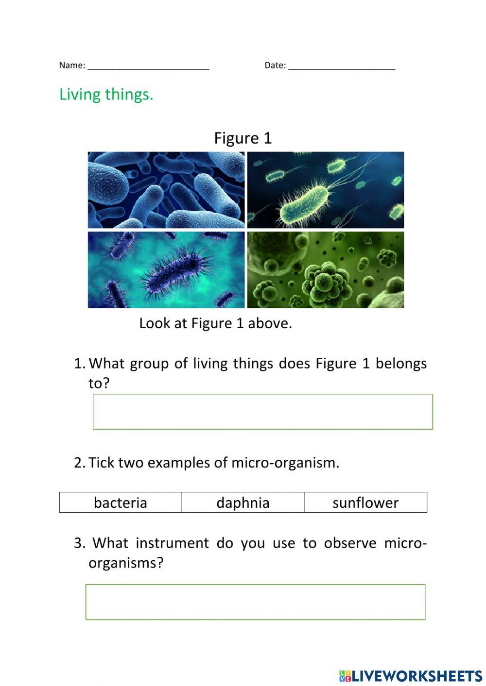 Group of living things