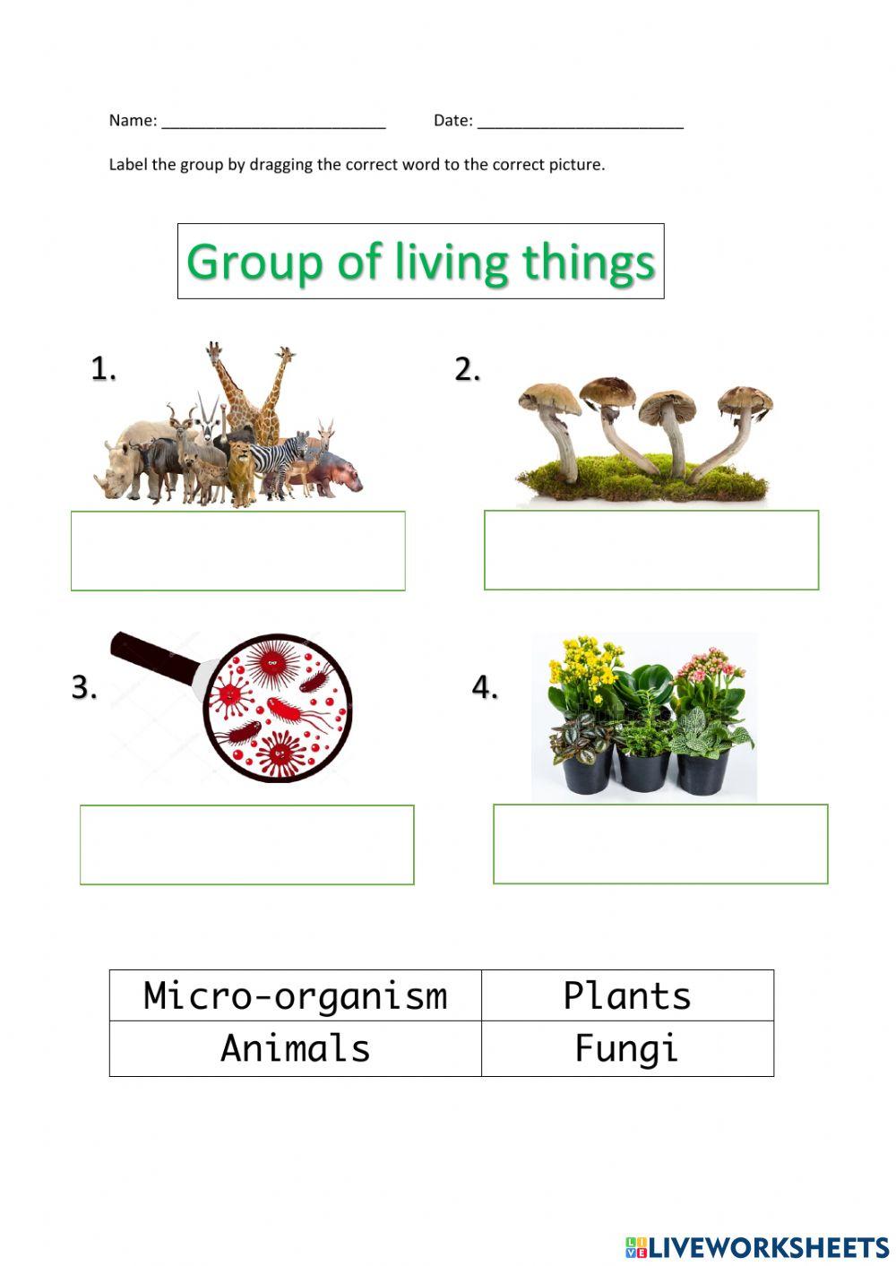 Group of living things