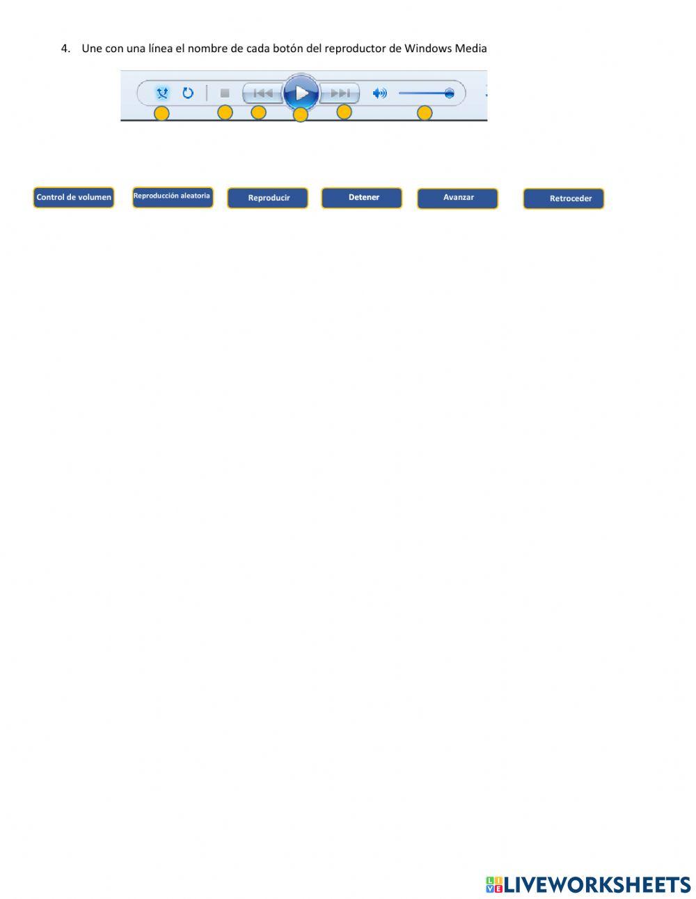 Windows Media  Player