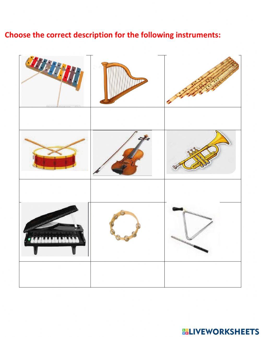 Types of musical instruments