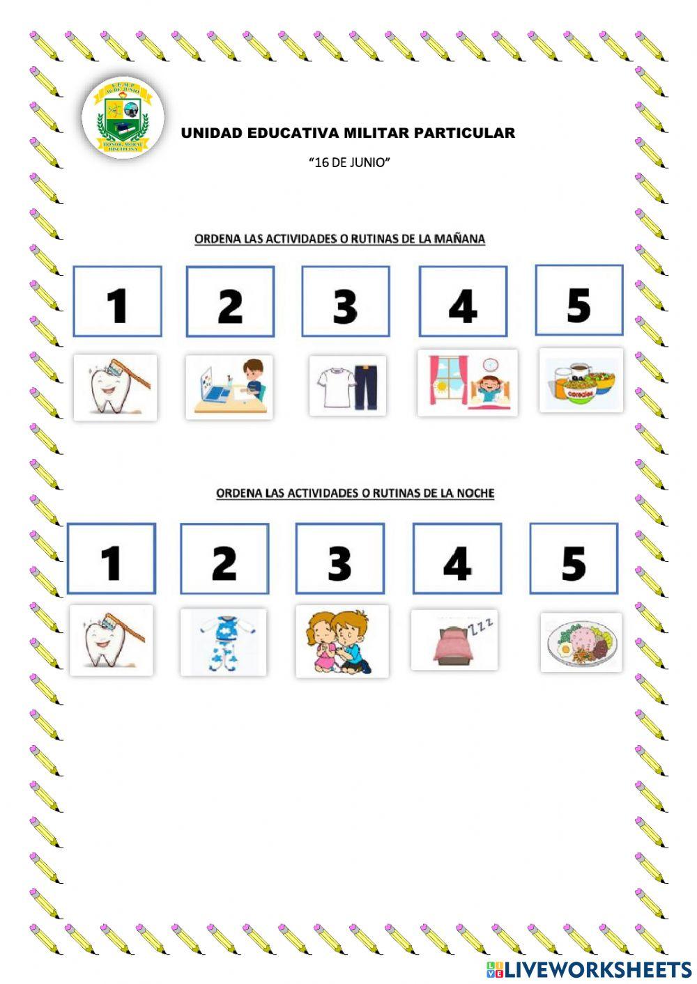 Actividades realizadas en la mañana y tarde