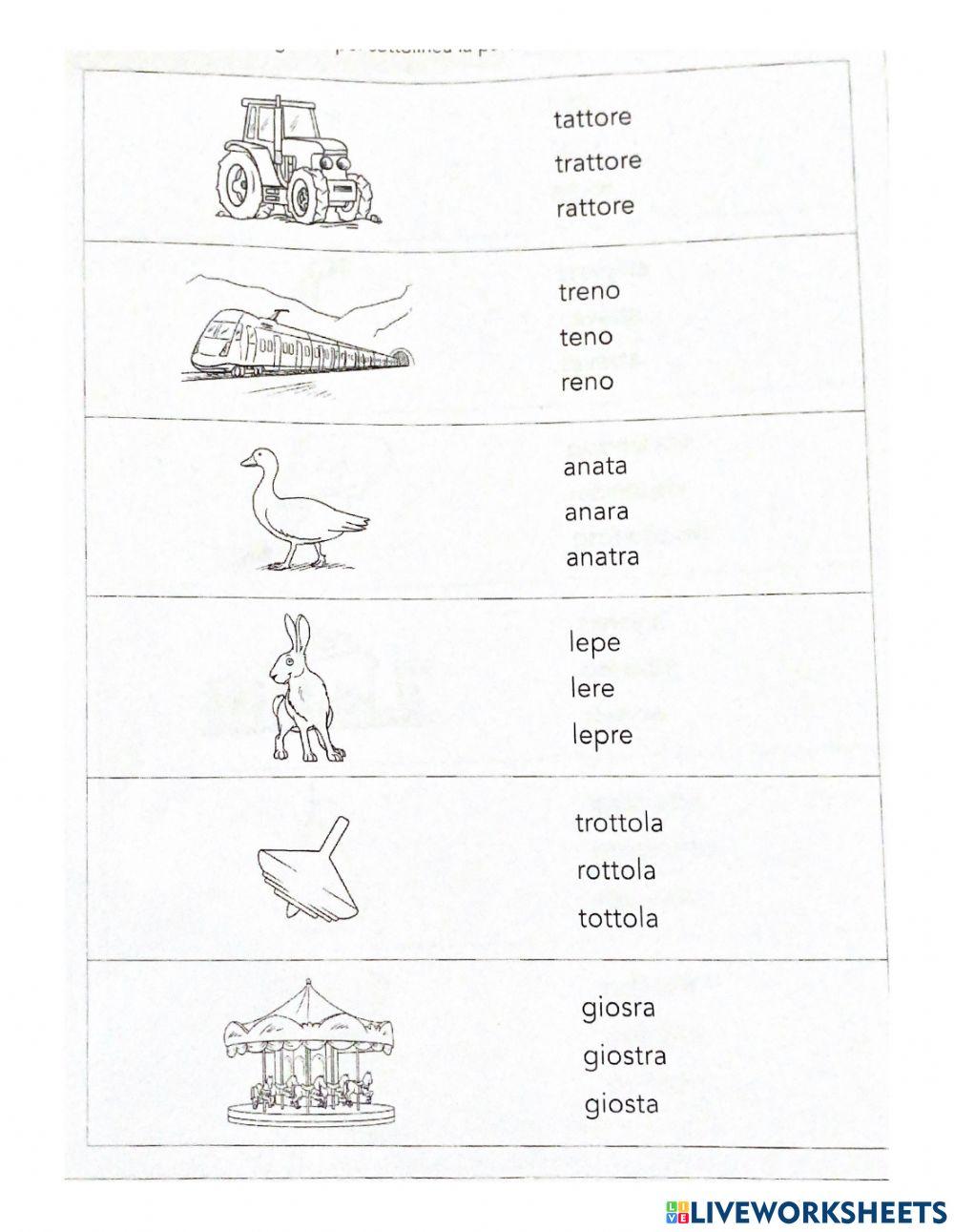 Scegli la parola corretta