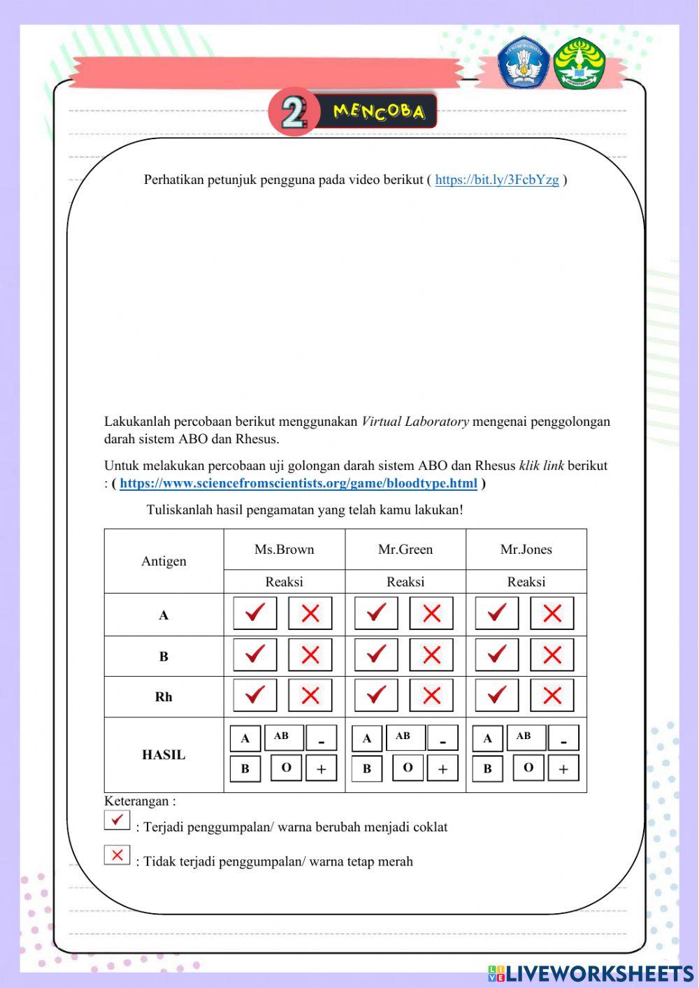 Sistem peredaran darah