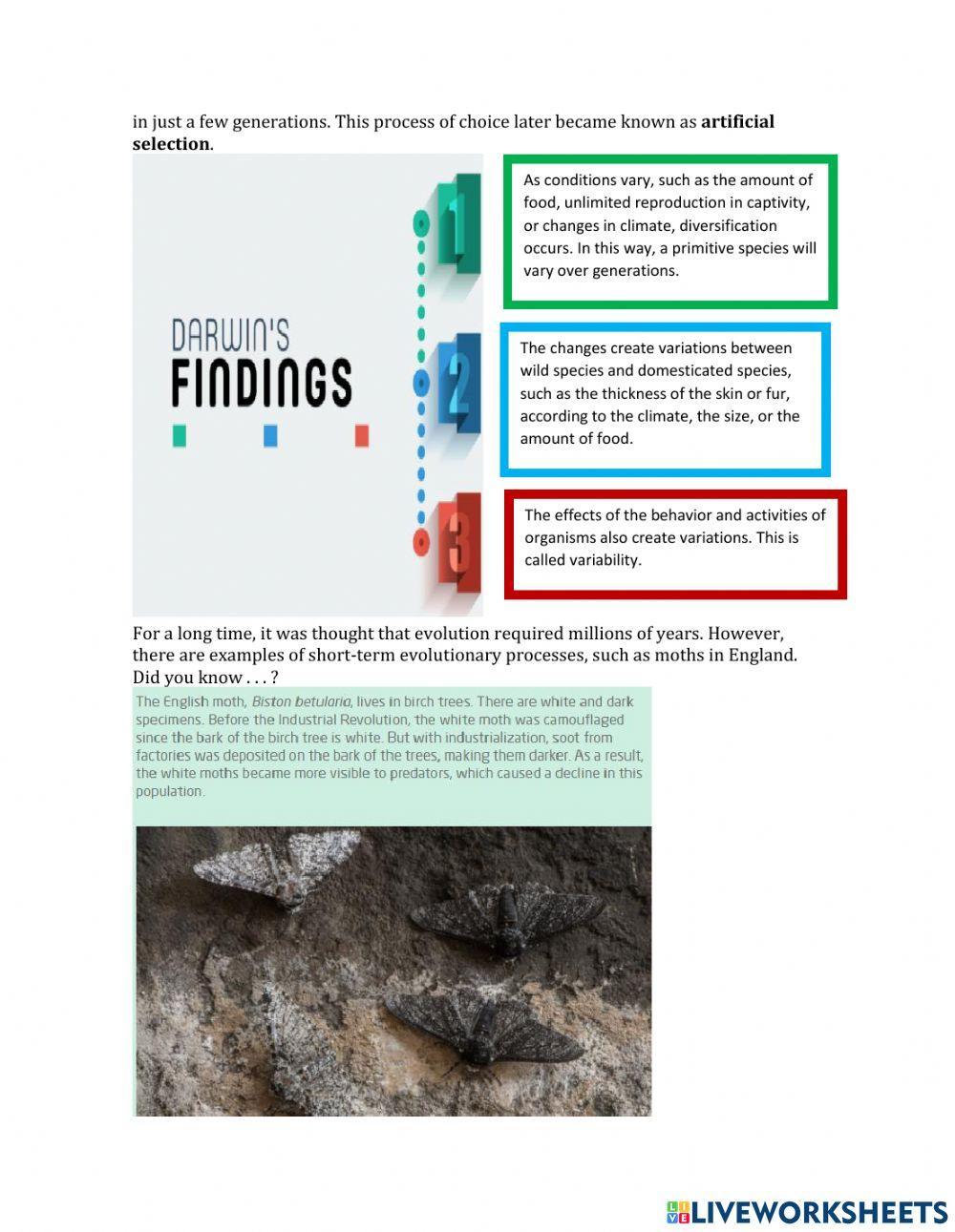 Charles Darwin's Theory of Evolution