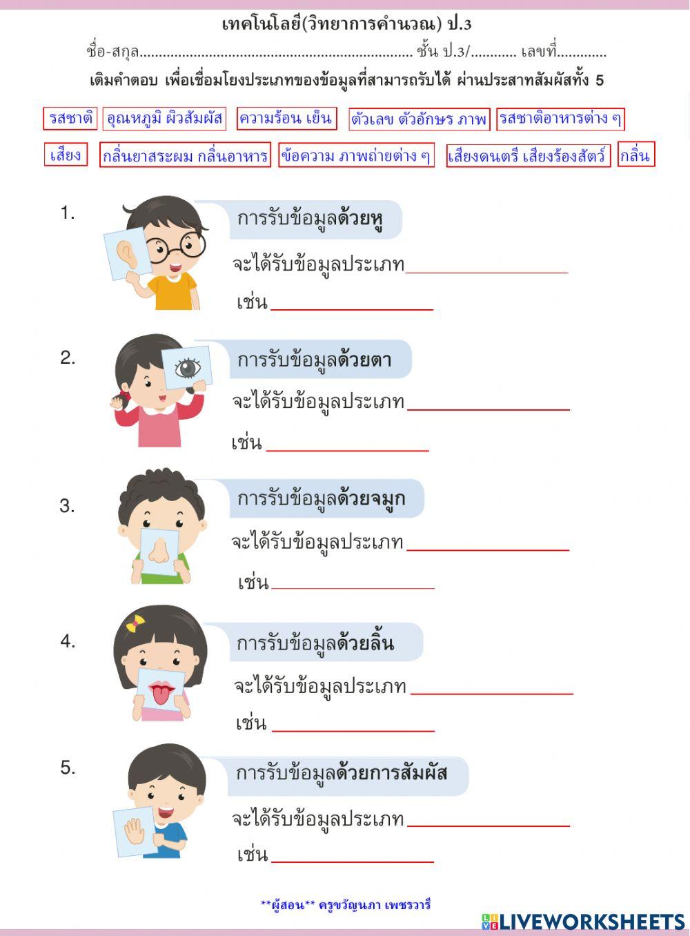 ใบงาน การรวบรวมข้อมูล ป.3