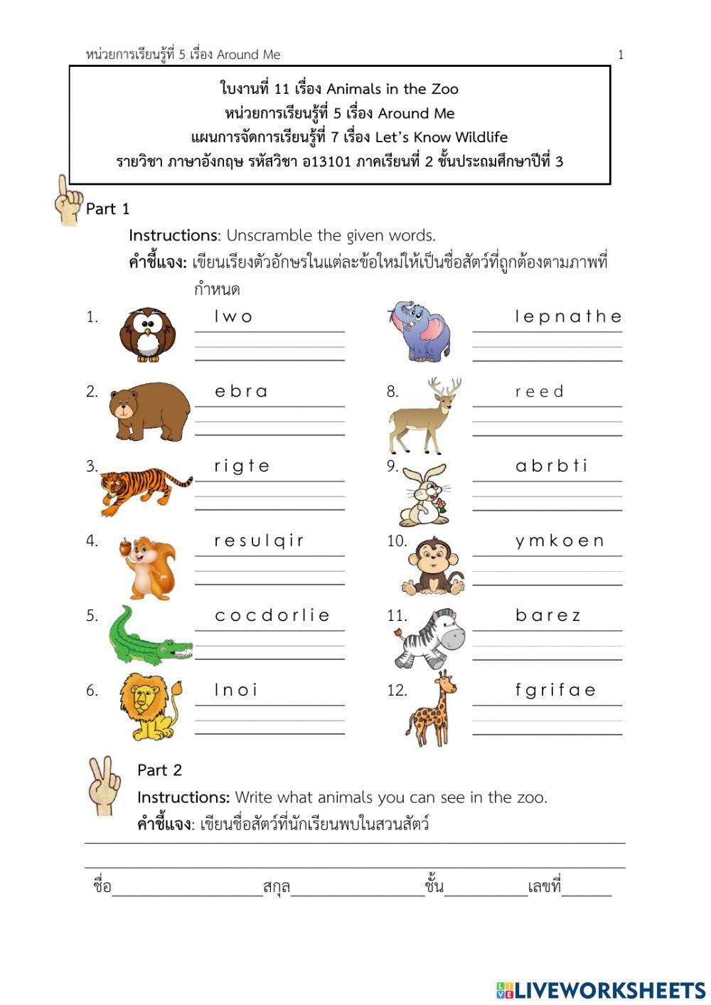 Activities in the park