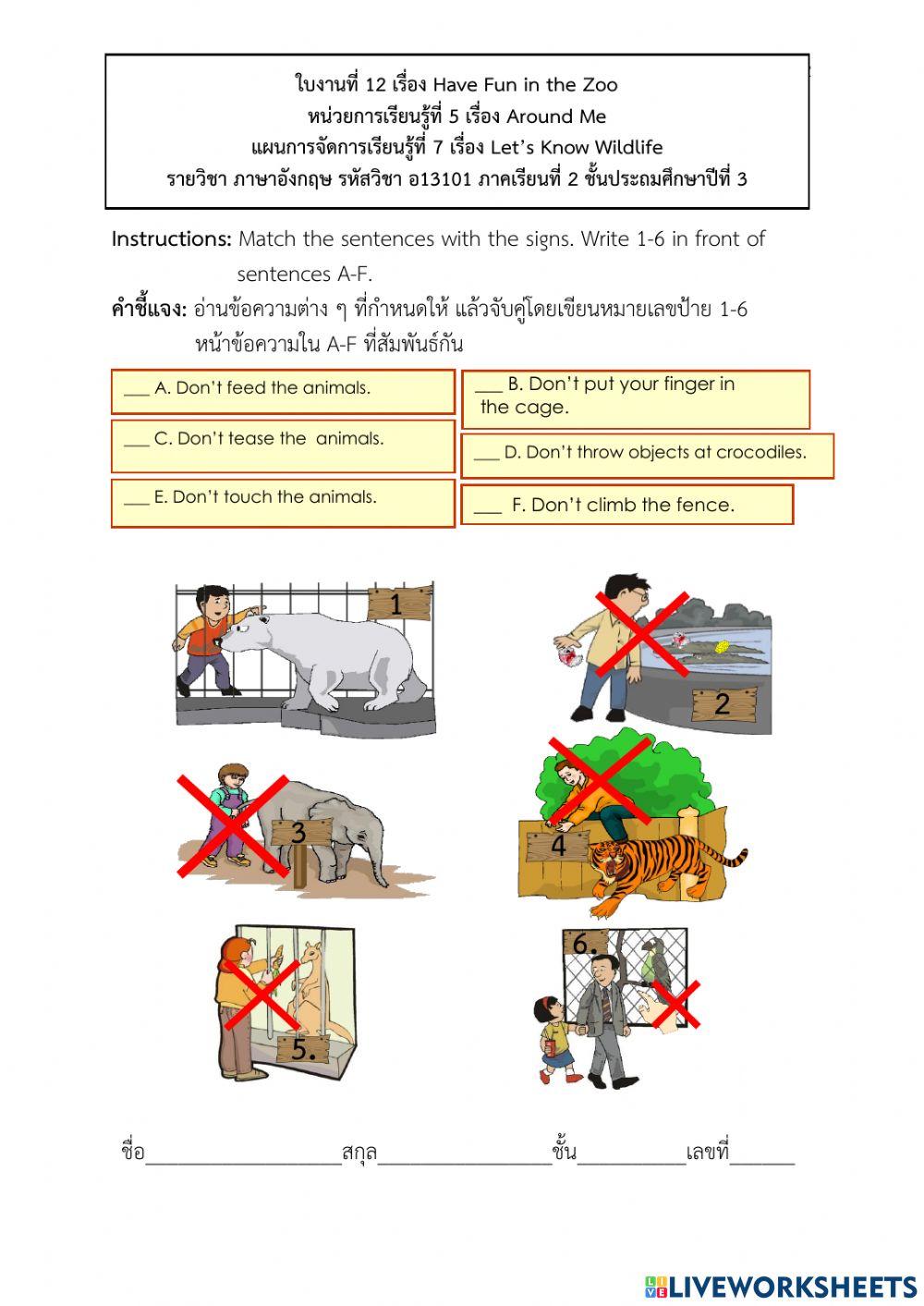 Activities in the park