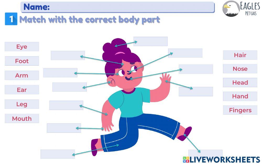 Study guide Units 3 and 4