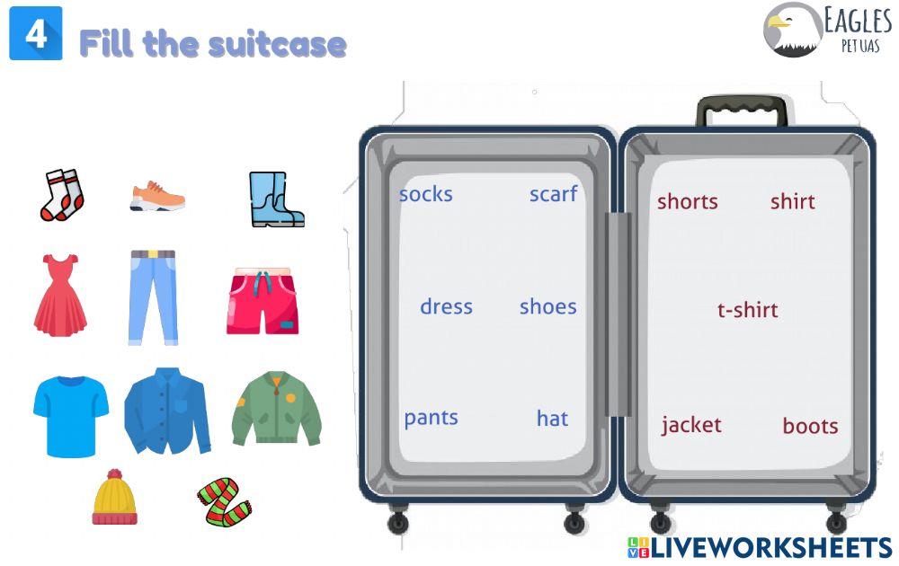 Study guide Units 3 and 4