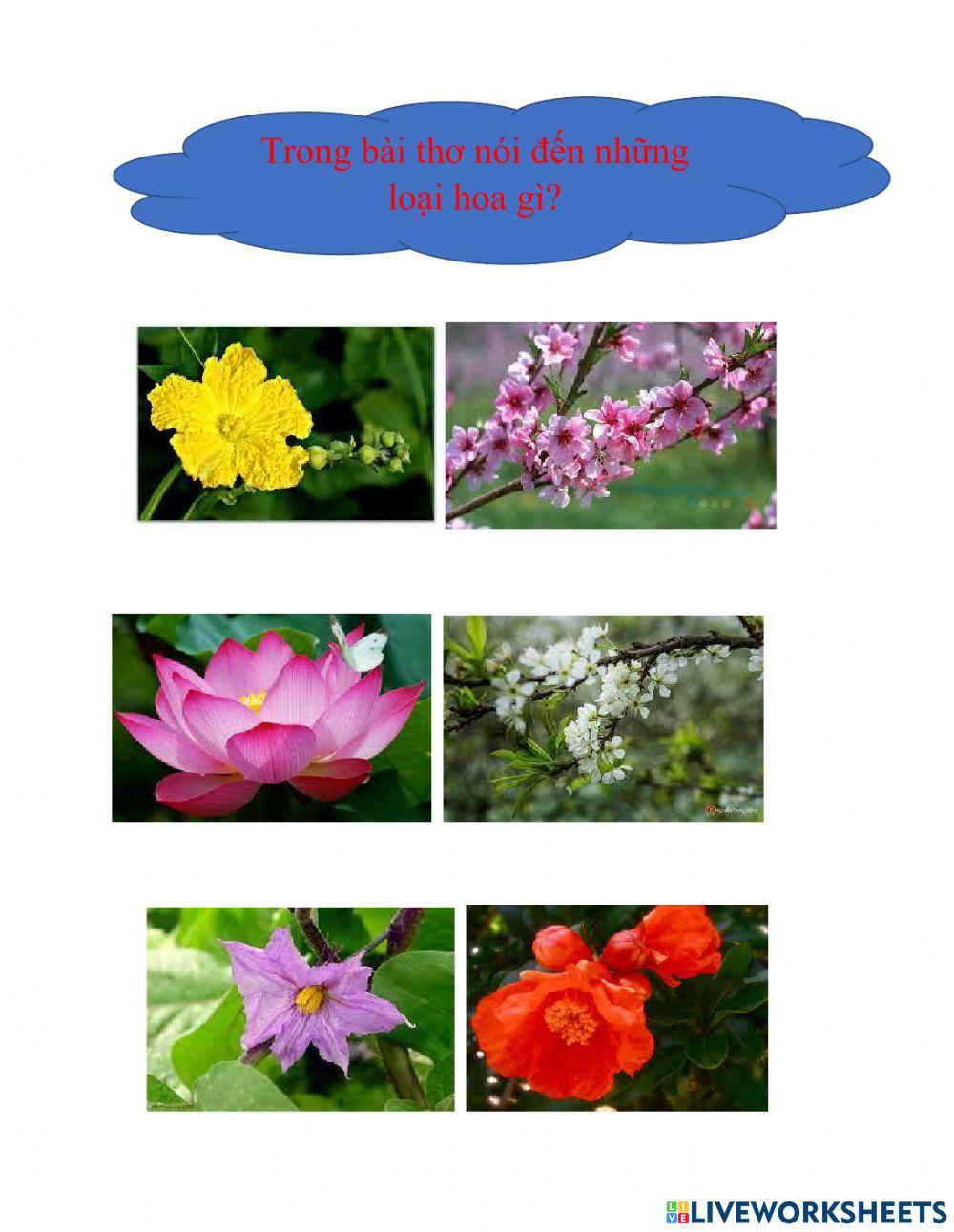 Thơ hoa kết trái