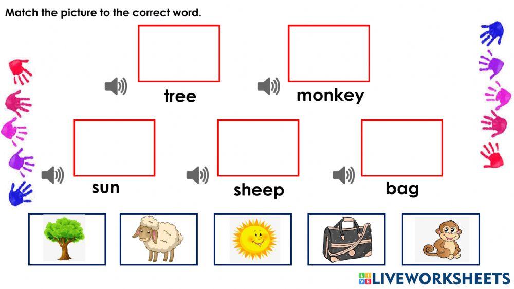 Match the word and picture.
