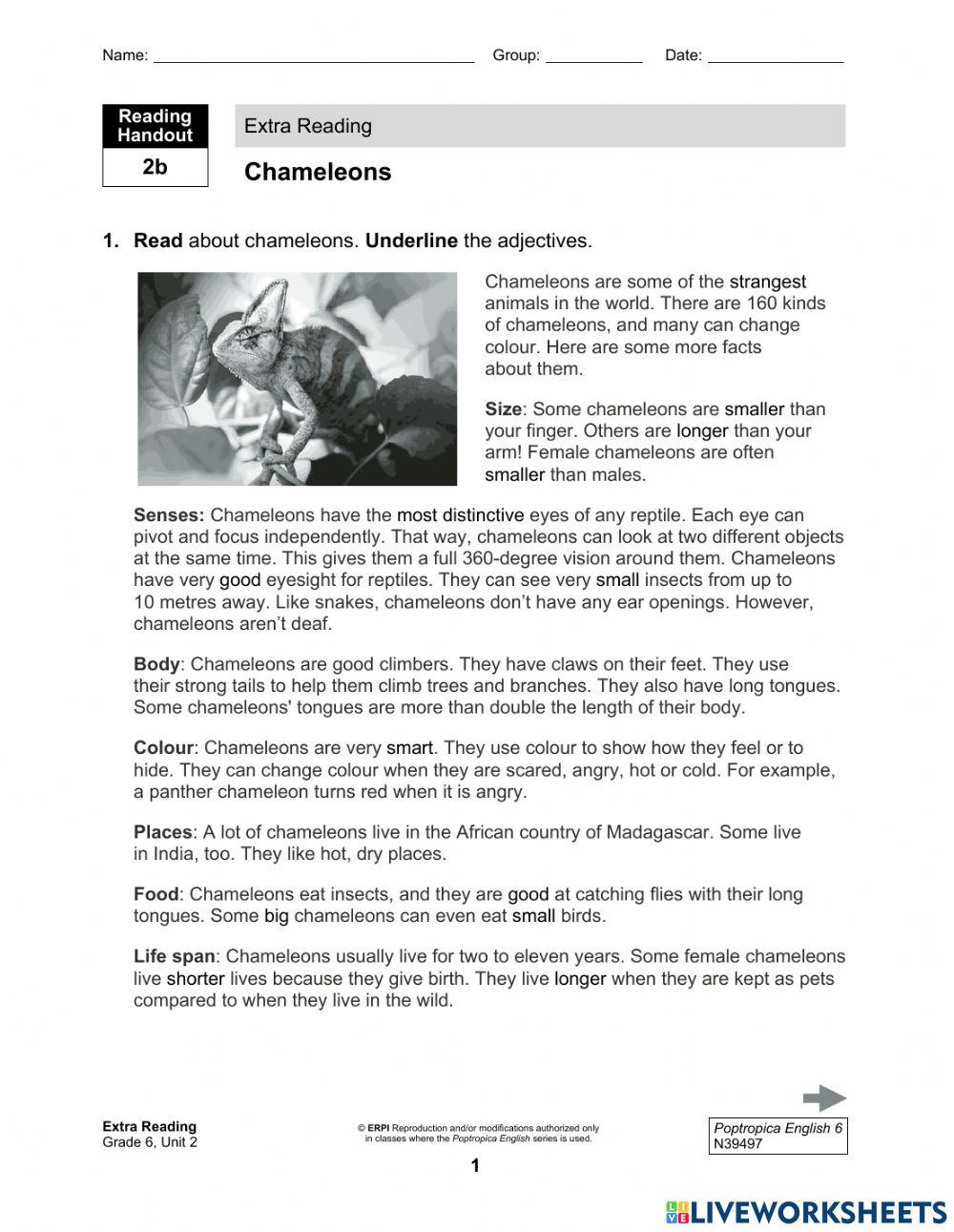 pop6-reading-2b-handout online exercise for | Live Worksheets