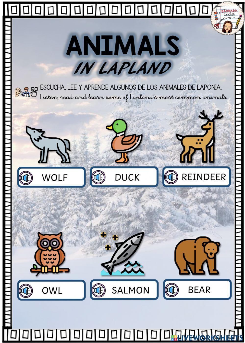 Lapland animals learn